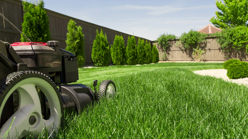 How Often Should You Mow Your Lawn in Woodstock Ontario?