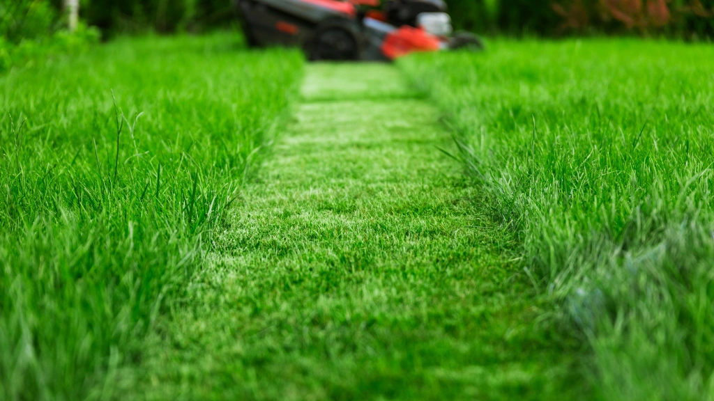 Lawn Mowing vs. Lawn Care - What’s the Difference?
