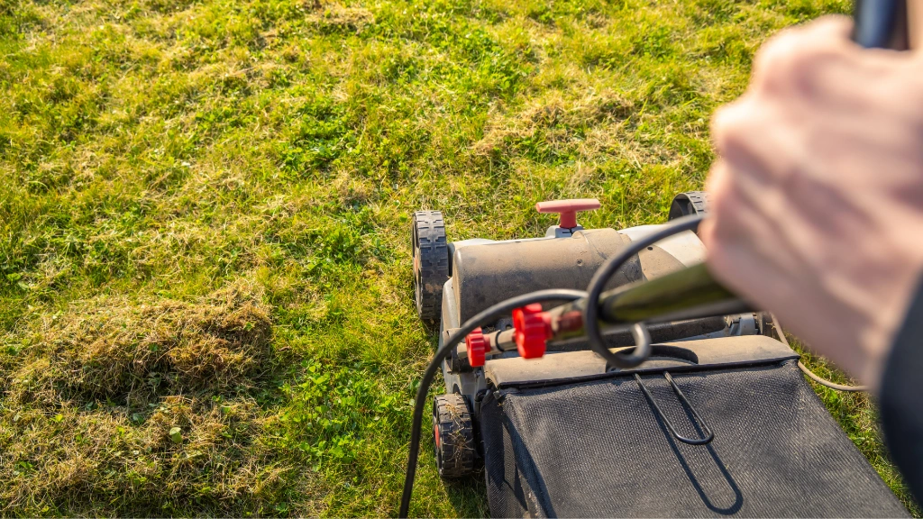 When Should You Aerate Your Lawn in Ontario?